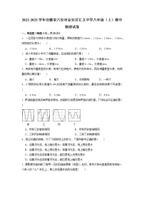 安徽省六安市汇文中学2022-2023学年八年级上学期期中物理试卷（含答案）