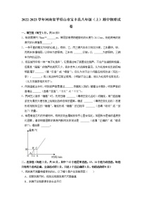 河南省宝丰县2022-2023学年八年级上学期期中考试物理试题（含答案）