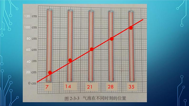 教科版八年级上册第二章第一节《2.3测量物体运动的速度》第5页