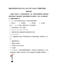 湖南省常德市汉寿县2022-2023学年九年级上学期期中测试物理试卷(含答案)