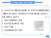 沪科版八年级物理上第四章多彩的光复习与提升习题课件