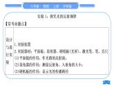 沪科版八年级物理上第四章多彩的光实验专题习题课件
