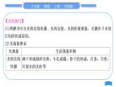 沪科版八年级物理上第四章多彩的光专题四光现象辨识习题课件