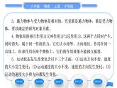 沪科版八年级物理上第六章熟悉而陌生的力第一节力习题课件