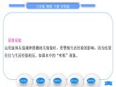 沪科版八年级物理下第八章压强第四节流体压强与流速的关系习题课件