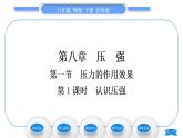 沪科版八年级物理下第八章压强第一节压力的作用效果第1课时认识压强习题课件