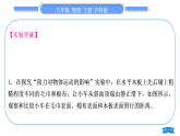 沪科版八年级物理下第七章力与运动实验专题习题课件