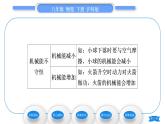 滬科版八年級物理下第十章機(jī)械與人第六節(jié)合理利用機(jī)械能第2課時動能和勢能的相互轉(zhuǎn)化習(xí)題課件