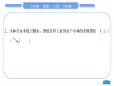 沪科版八年级物理上单元周周测五(4.3～4.4)习题课件