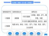 沪科版九年级物理第二十章能源、材料与社会第二节能源的开发和利用习题课件