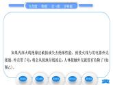 沪科版九年级物理第十五章探究电路第五节家庭用电习题课件
