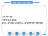 北師大版八年級物理上第四章聲現(xiàn)象四、聲現(xiàn)象在科技中的應用習題課件