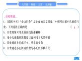 北師大版八年級物理上第五章光現(xiàn)象專題七光現(xiàn)象辨識習(xí)題課件