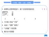 北師大版八年級物理上第五章光現(xiàn)象專題七光現(xiàn)象辨識習(xí)題課件