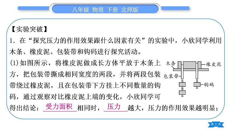 北师大版八年级物理下第八章压强与浮力第八章实验专题习题课件第5页