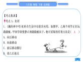 北師大版八年級(jí)物理下第九章機(jī)械和功第九章復(fù)習(xí)與提升習(xí)題課件
