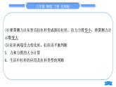 北师大版八年级物理下第九章机械和功第九章实验专题习题课件