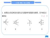 北师大版八年级物理下第六章常见的光学仪器复习与提升习题课件