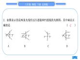 北师大版八年级物理下第六章常见的光学仪器复习与提升习题课件