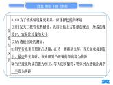 北师大版八年级物理下第六章常见的光学仪器实验专题习题课件