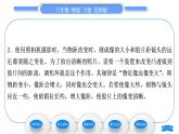 北师大版八年级物理下第六章常见的光学仪器三、生活中的透镜习题课件