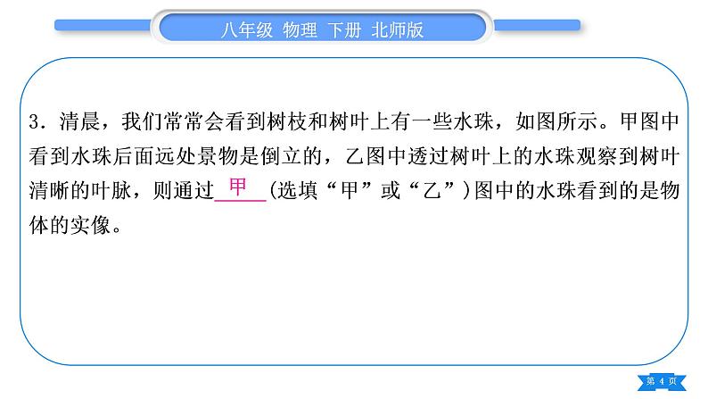 北师大版八年级物理下期末复习一第六章习题课件第4页