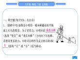 北师大版八年级物理下章节周周测九(第九章1～2节)习题课件