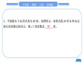 北師大版八年級物理上章節(jié)周周測十(5.1～5.3)習(xí)題課件