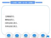 北师大版九年级物理第十一章简单电路第三节电荷习题课件