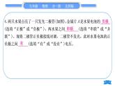 北师大版九年级物理章节周周测(五)(114～115)习题课件
