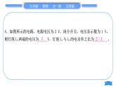 北师大版九年级物理章节周周测(十)(131～132)习题课件