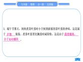 北師大版九年級物理章節(jié)周周測(一)(101～102)習(xí)題課件