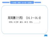 北师大版九年级物理章节周周测(十四)(141～144)习题课件