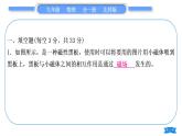 北师大版九年级物理章节周周测(十四)(141～144)习题课件