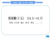 北师大版九年级物理章节周周测(十五)(145～147)习题课件
