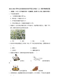 山东省泰安市东平县2022-2023学年九年级上学期期中物理试卷(含答案)