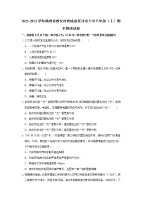 陕西省西安市西咸新区沣东新城第六中学2022-2023学年八年级上学期期中物理试卷(含答案)