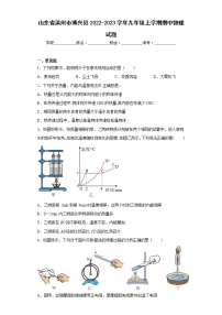 山东省滨州市博兴县2022-2023学年九年级上学期期中物理试题(含答案)