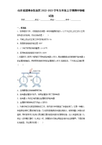 山东省淄博市张店区2022-2023学年九年级上学期期中物理试题(含答案)