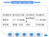 粤沪版八年级物理上第三章光和眼睛3.3探究平面镜成像特点第2课时平面镜的应用　各种面镜习题课件