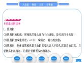粵滬版八年級物理上第三章光和眼睛3.7眼睛與光學儀器第2課時光學儀器習題課件