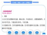 粤沪版八年级物理上第三章光和眼睛3.1光世界巡行习题课件