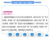 粤沪版八年级物理上第三章光和眼睛3.5奇妙的透镜习题课件