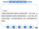 粤沪版八年级物理上第三章光和眼睛3.5奇妙的透镜习题课件