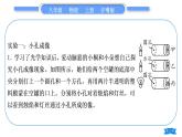 粤沪版八年级物理上第三章光和眼睛实验专题习题课件