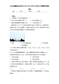 山东省聊城市东阿县2022-2023学年八年级上学期期中物理试题(含答案)