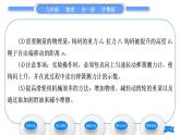 粤沪版九年级物理第十一章机械功与机械能11.3如何提高机械效率第2课时测量机械效率习题课件