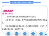 粤沪版九年级物理第十五章电能与电功率15.4探究焦耳定律习题课件