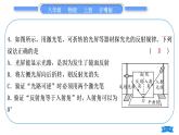 粤沪版八年级物理上单元周周测四(3.1～3.3)习题课件