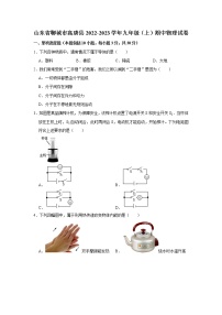 山东省聊城市高唐县2022-2023学年九年级上学期期中考试物理试题(含答案)